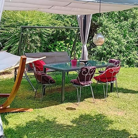 Camping Under The Walnut In Your Own Tent On A Shared Lot And Shared Bathroom Ljubljana Dış mekan fotoğraf