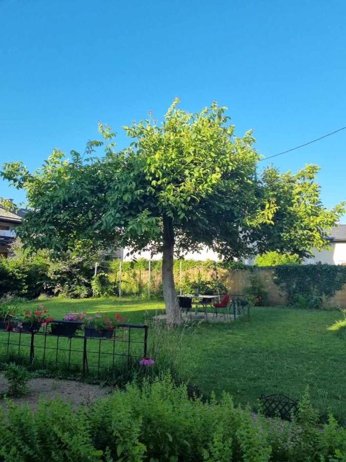 Camping Under The Walnut In Your Own Tent On A Shared Lot And Shared Bathroom Ljubljana Dış mekan fotoğraf