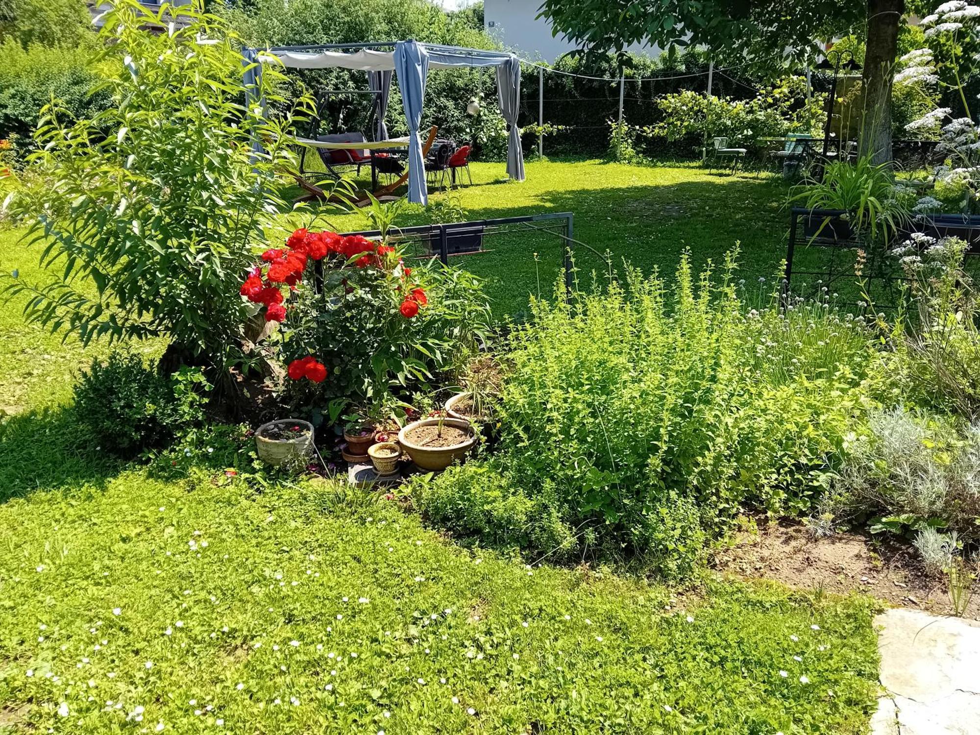 Camping Under The Walnut In Your Own Tent On A Shared Lot And Shared Bathroom Ljubljana Dış mekan fotoğraf